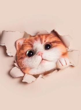 羊毛毡戳戳乐手工diy材料包