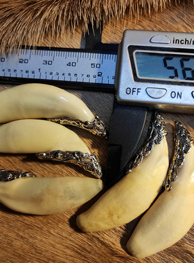 大气时尚本命年男女狼牙吊坠真牙