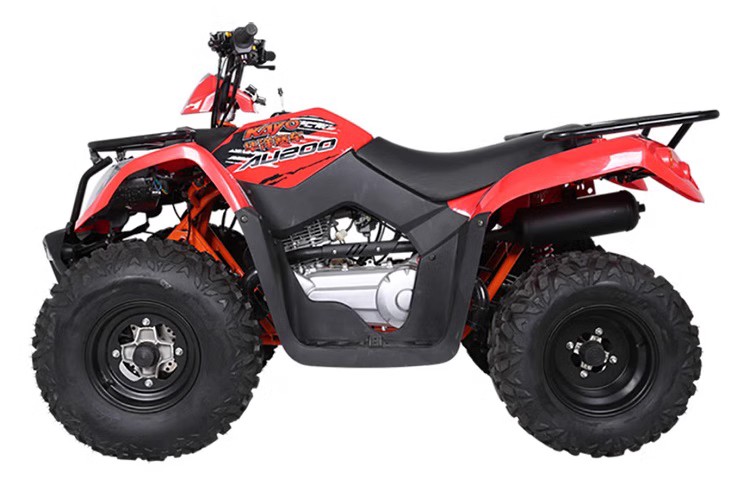 隆鑫LX200-M华洋200AU巴山ATV200沙滩车CVT175发动机气缸头总成-图2