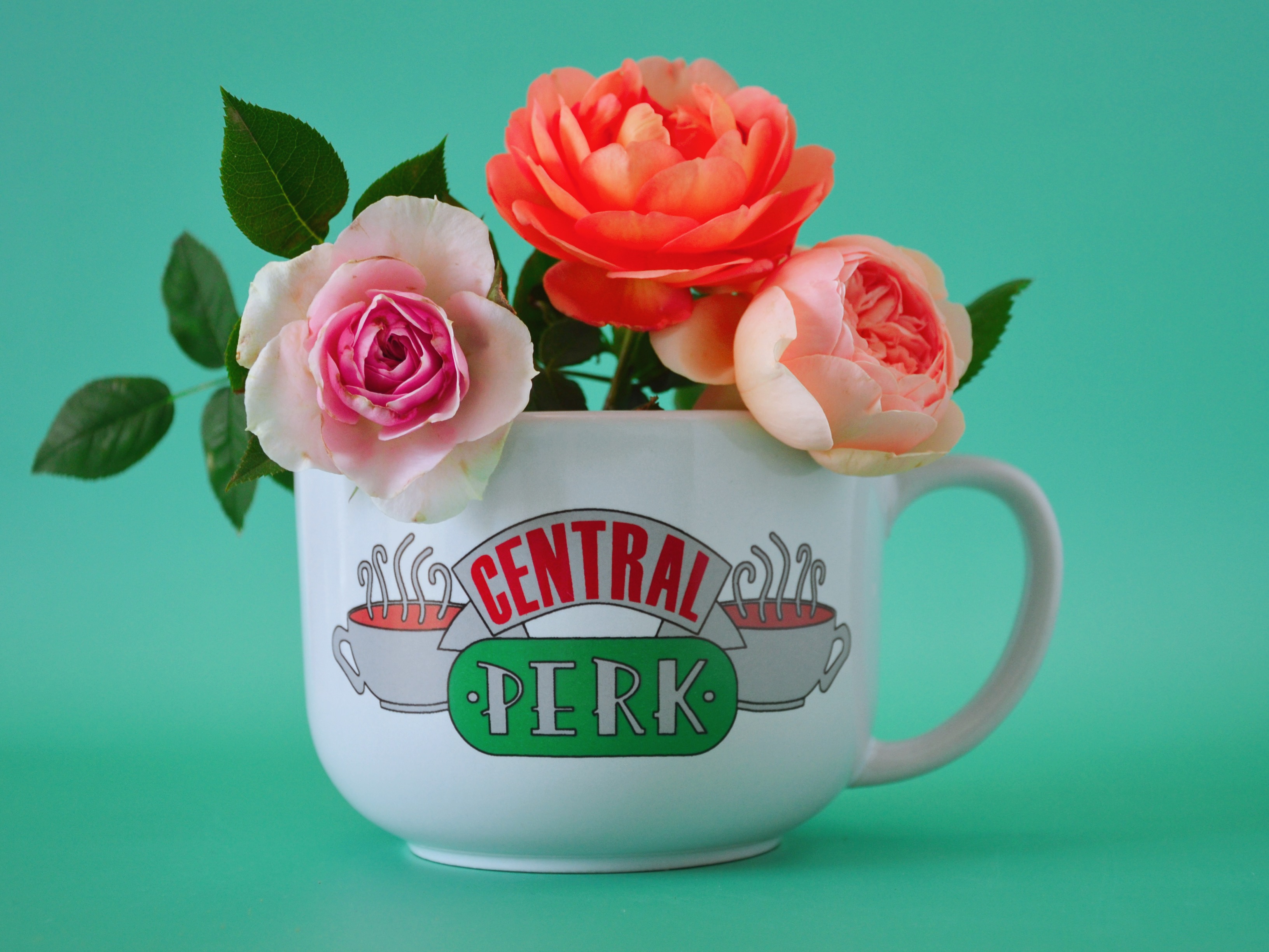 【现货】老友记周边centralperk600ml大容量陶瓷马克杯咖啡杯碗杯 - 图1