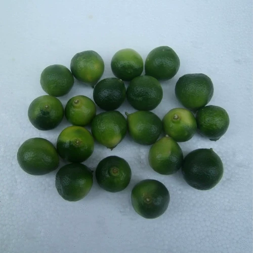 Hainan Fresh Orange Green Kumquat маленькая лимонная кислота Kumquat Tea Fruit Coconut Chicken Hot Pot Sauce