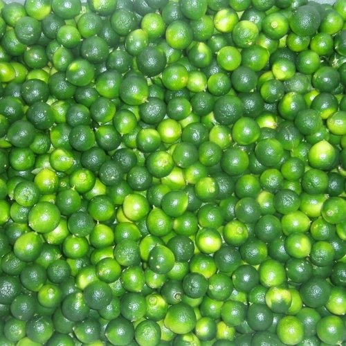 Hainan Gills 3 Catties 5 фунтов свежих маленьких кумкват -фруктов курица порошок кокосовый кокосовый погружение ингредиенты ингредиенты ингредиенты