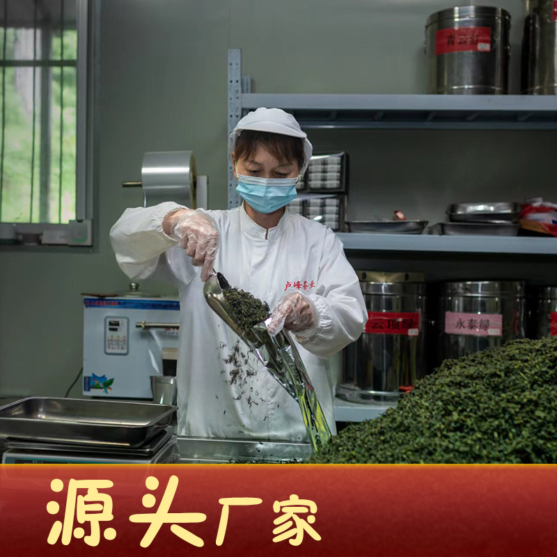 手工安吉白茶绿茶卷茶2022年新茶明前特级浓香型高山春茶罐装200g