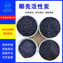 High Standard Coconut Shell Activated Carbon Drinking Water Wastewater Treatment Food Grade Industrial Water Purification Coconut Shell Granular Carbon Apart Formaldehyde
