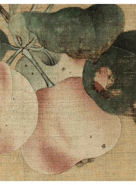 特价国画微喷装饰画新中式花鸟