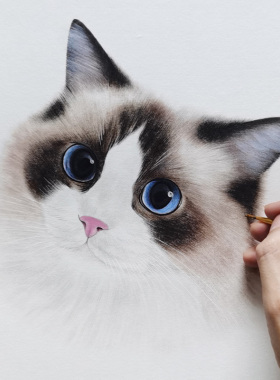 手写手绘猫肥家润财猫双全狗