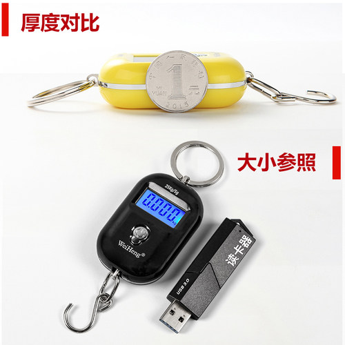 威衡电子手提秤迷你钥匙扣高精度小型钩秤家用快递秤买菜称重25kg - 图1