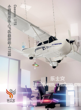 小型通用私人飞机塞纳斯172型