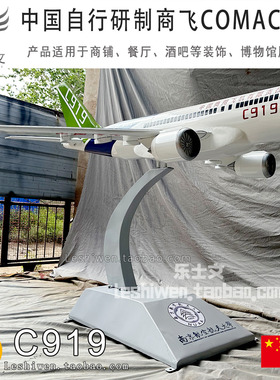 中国商飞 C919 铁艺客机模型国产仿真大飞机展馆科普展览装饰摆件