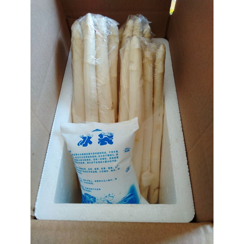 【成都好特蔬】白芦笋新鲜农家蔬菜 White asparagus 500g - 图1