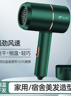 新款得力雅吹风机冷热恒温