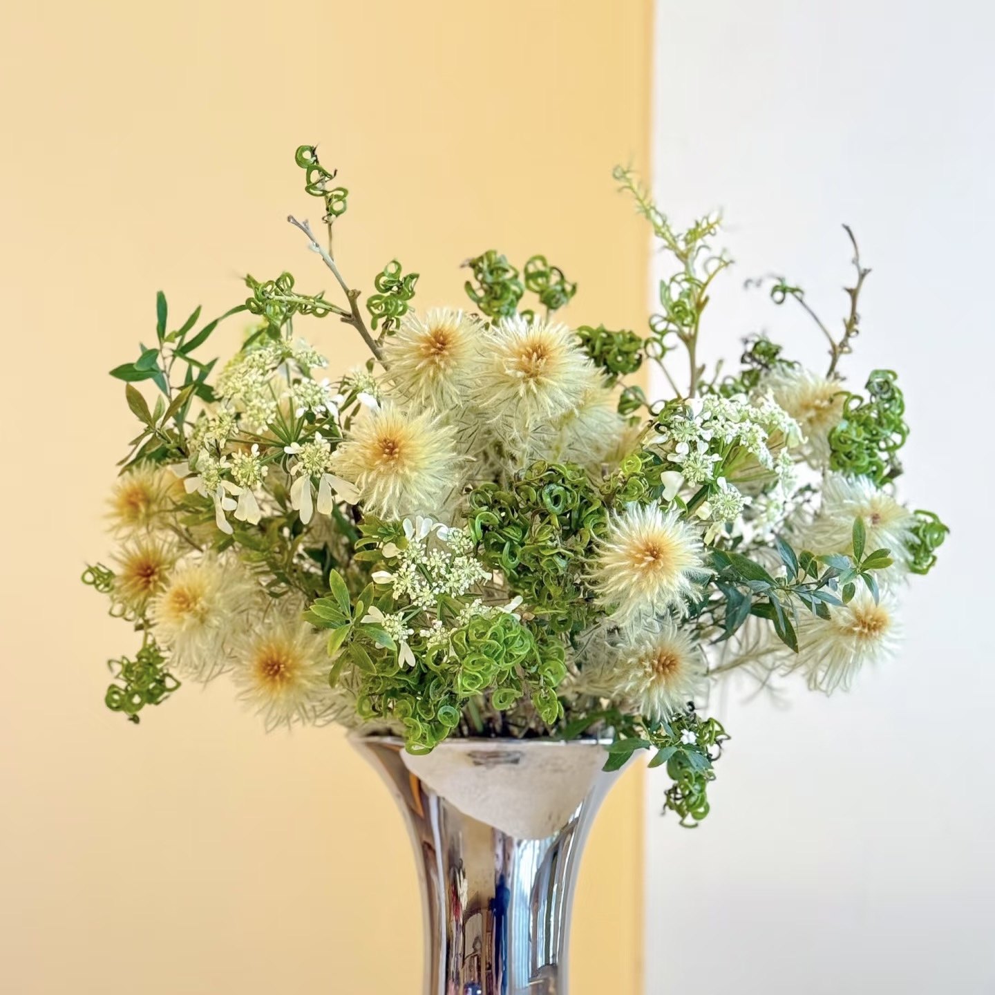 金鹅绒鲜切花小众稀有精品花材家庭瓶插花艺婚庆节日比赛装饰花束,淘宝优惠券,粉丝福利购,淘宝优惠卷