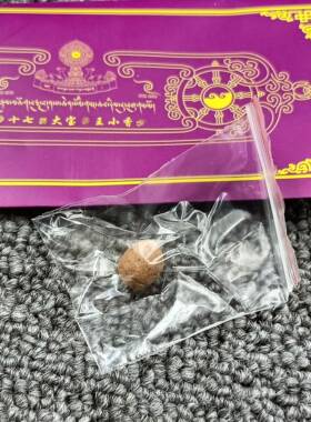 圣地楚布S十七TH大宝F王修诵之小香W宝物一袋一粒