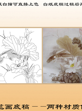工笔画白描底稿斗方陆雨年荷花