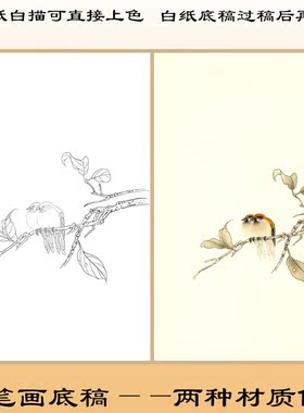 小鸟竹子花鸟工笔画熟宣纸白描