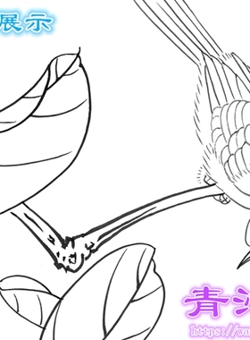 如意柿子花鸟工笔画白描底稿画稿