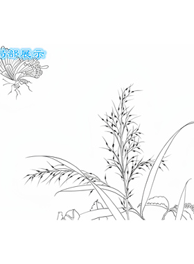 工笔画白描底稿初学者用直接上色