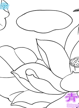 H149荷花工笔画白描底稿线描实物白纸画稿荷花蜻蜓斗方