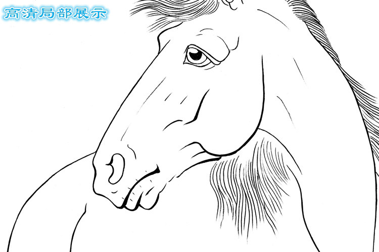 D1骏马动物工笔画白描底稿熟宣纸线描白纸国画稿初学练习用条幅,淘宝优惠券,粉丝福利购,淘宝优惠卷
