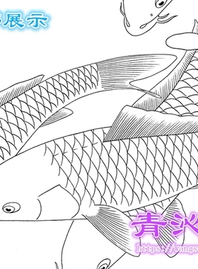 L40九鲤鱼荷花工笔画白描底稿实物打印白纸线描国画稿陆雨年条幅