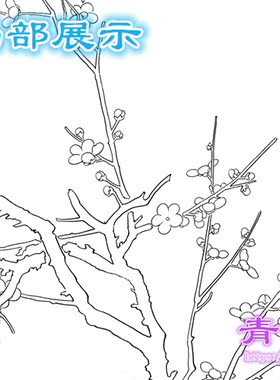 D11精品国画陈之佛白描底稿老鹰猛禽线描动物稿横幅