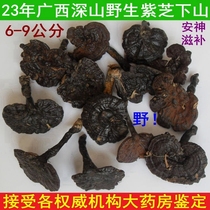 23 years of picking ex-gratia Guangxi Deep Mountain pure wild Lucid Lucid and Lucid Lucid and Nourishing Tea and Soup Soak