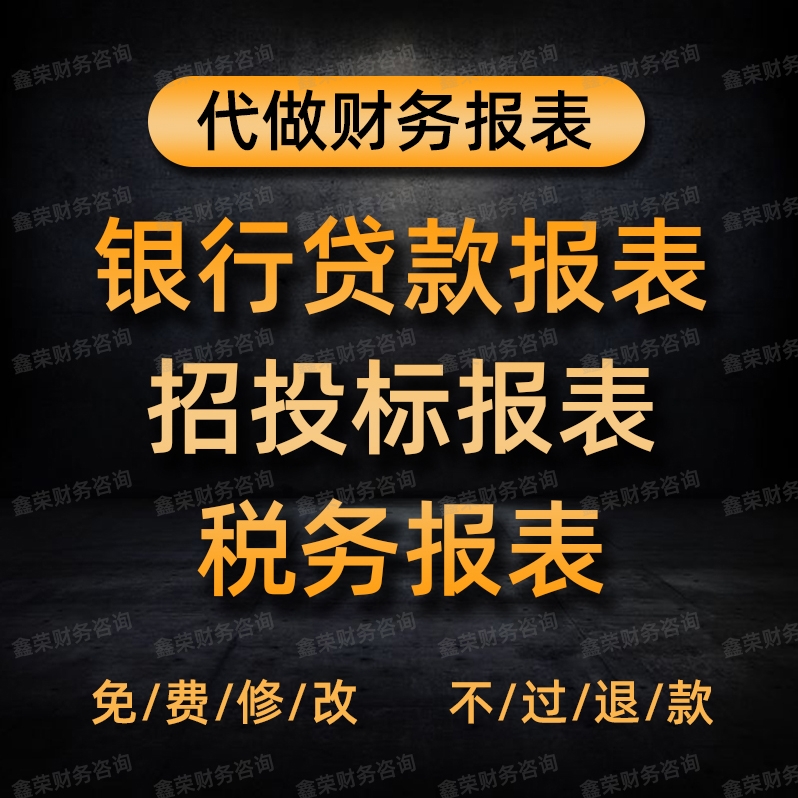 代做财务报表资产负债表利润表损益表现金流量银行贷款招投标制作 - 图0