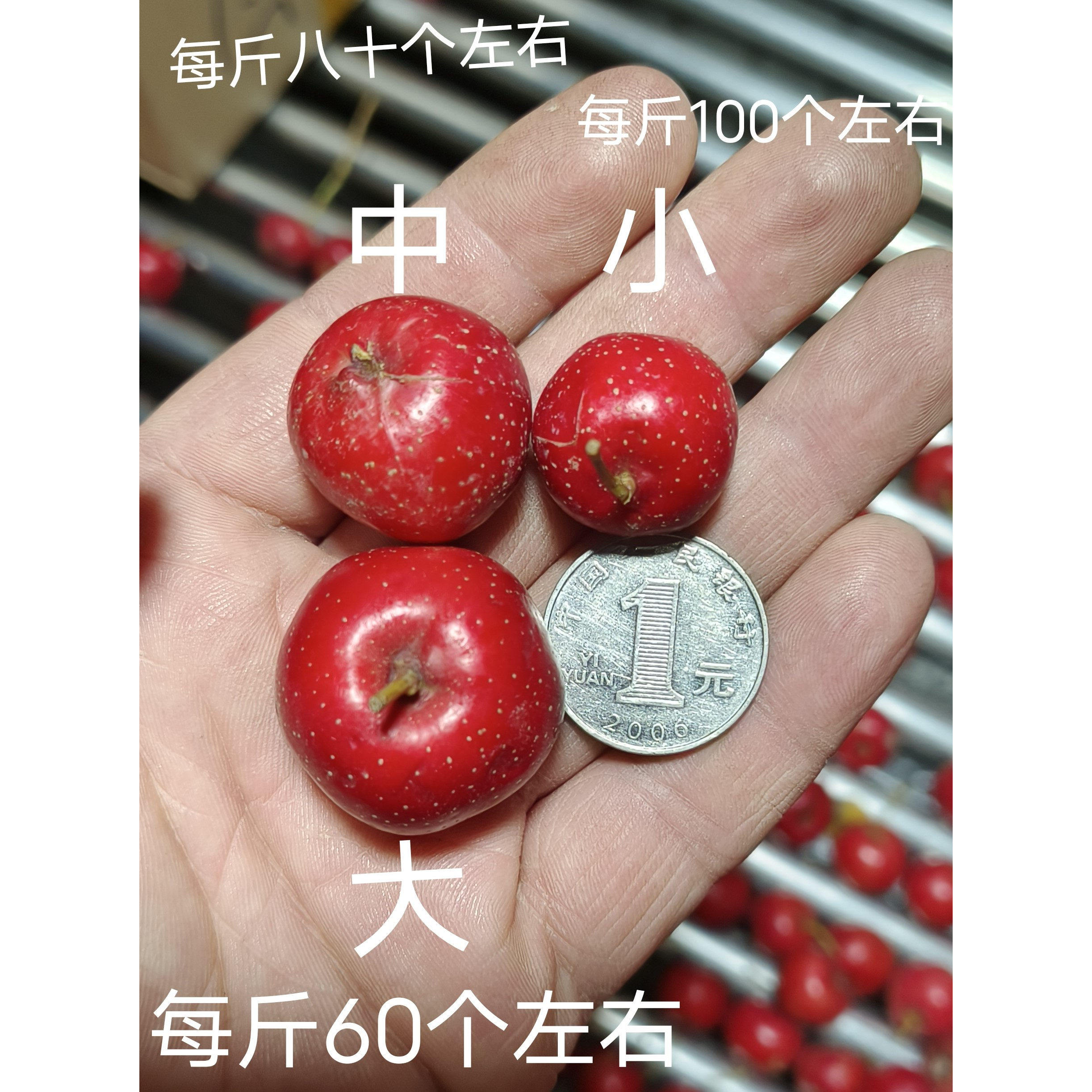 山楂 水果山楂 樱桃小山楂 甜口山楂甜红子,淘宝优惠券,粉丝福利购,淘宝优惠卷