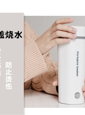 出口电热杯跨境110V美规欧规英规