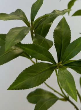 留夏高端轻奢马醉木仿真花树枝仿生绿植造景客厅盆栽摆设假花装饰