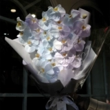 Цветочный распылитель распылительный аэрозоль.