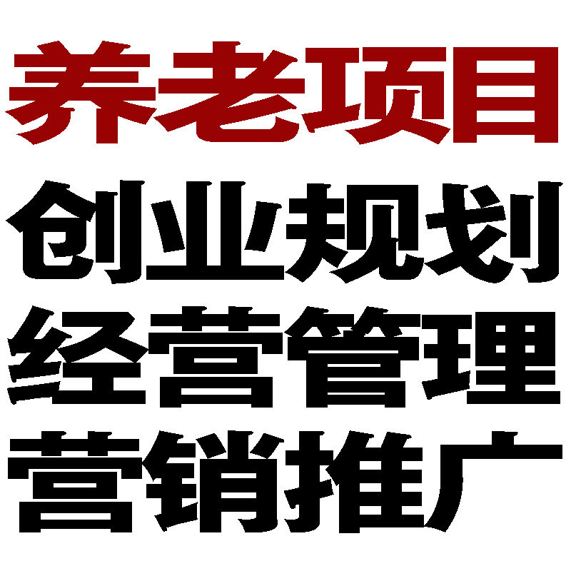 养老院老年公寓社区居家庭养老商创业计划经营管理销推广促销活动