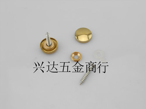 铜镜钉 金色镜钉不锈钢镜钉广告钉 玻璃钉装饰钉 规格齐厂家直销 - 图2