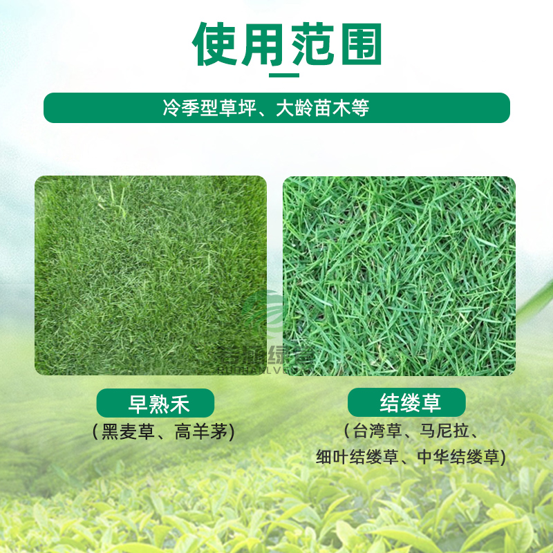 草坪隆除禾冷季型草坪结缕草麦冬白三叶禾本科杂草尖叶杂草除草剂 - 图0