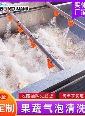 供应果蔬气泡清洗净机 不锈/win钢山毛清豆清洗机 喷淋式菜洗流水