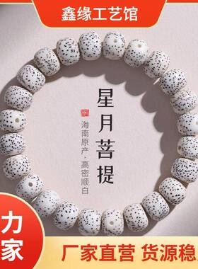 【普陀山】海南星月菩提子手串盘玩单圈情侣手链男女款高密顺白文