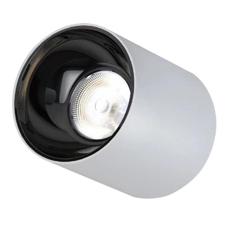 Waterproof surface-mounted downlight corridor door terrace awning bathroom outdoor waterproof ceiling-mounted surface-mounted museum spotlight