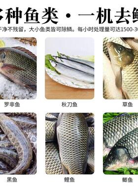 全自动去鱼鳞机罗非鱼草鱼去鱼鳞清洗机械商用型多功能不锈钢设备