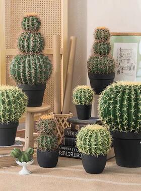 仿真仙人球多肉热带植物盆景室内家居摆件绿植盆栽仿真绿植盆景