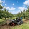 Remote control crawler rotary tiller multi-functional micro tiller small straw orchard agricultural plowing lawn mower