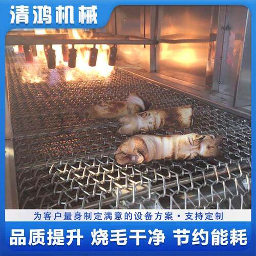卤肉加工猪头烧毛机 大火力猪蹄烧毛设备 全自动鸭头鸭翅燎毛机 - 图2