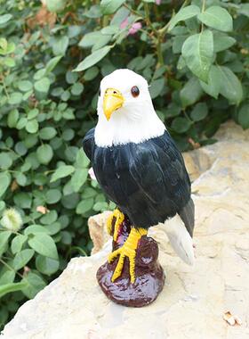 彷真羽毛模型丹顶鹤朱鹮伯劳喜鹊英国鹰八哥橱窗摆件羽毛工艺礼品