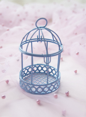 少女心ins摆件鸟笼桌面装饰摆件