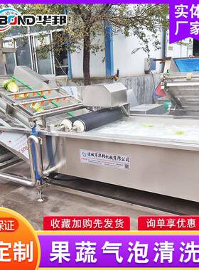 金商花清洗漂烫机果 多功能蔬气银泡清洗机 用果蔬脆清56洗设备