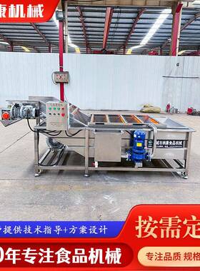 商用果蔬海鲜加工气泡清洗机连续式中药材高压喷淋清洗机设备