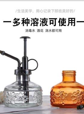玻璃喷壶ins欧式复古园艺洒水壶玻璃家用小型压力浇水喷雾瓶摆件