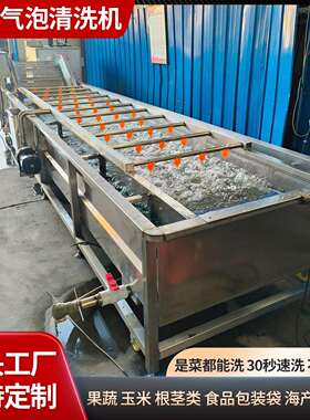 全自动洗菜机菠菜野菜青菜净菜商用清洗设备小龙虾果蔬气泡清洗机