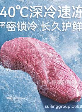 穗凌现货冰柜商用冷冻柜大容量温商用冷藏保鲜卧式冰箱源头工厂