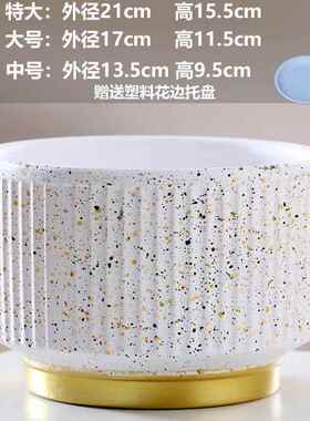 一件花盆陶瓷特价清仓带托盘家用多肉花盆兰花专用花盆大号