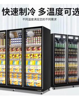 冷冻展示柜超市商用水饺速冻柜急冻柜肉类冻品双门低温冷藏冰箱